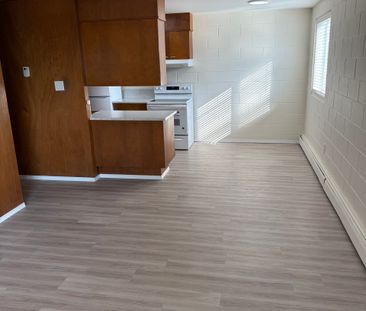 1 BDRM/1 BATH - 2315 7TH ST E - Available NOV 1 - Photo 3