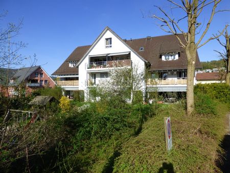 Your new home at Uetliberg – great duplex apartment - Foto 5