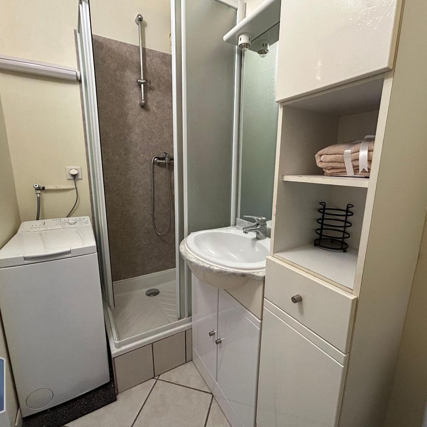 Location Appartement 1 pièce 18m² REIMS 51100 - Photo 1