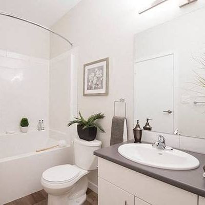 Pet Friendly, Security Camera, 2/bd 2/ba - Photo 3