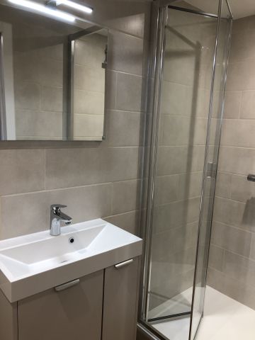 Location Appartement 1 pièce 12m² BEAUNE 21200 - Photo 5