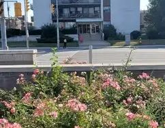 2 Bedroom Apartment Available | 1059 Don Mills Road, Toronto - Photo 1