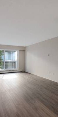 Yvonne Manor - 1 Bedroom - Available Now - Photo 1