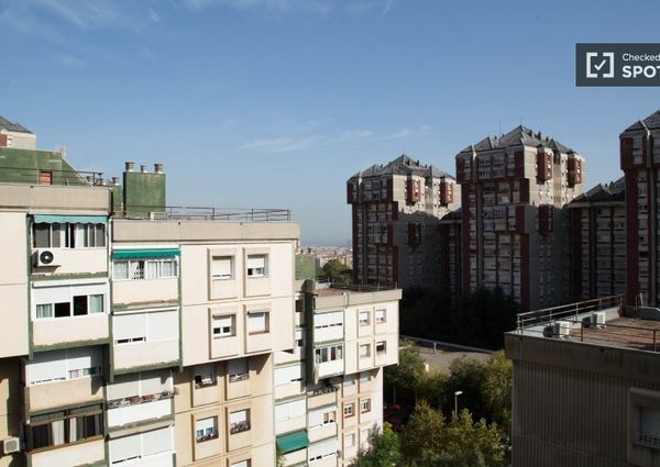 barcelona, Catalonia 08042