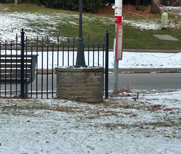 For Lease - 10 Silverdale Crescent Unit# Lower, Toronto, Ontario - Photo 4