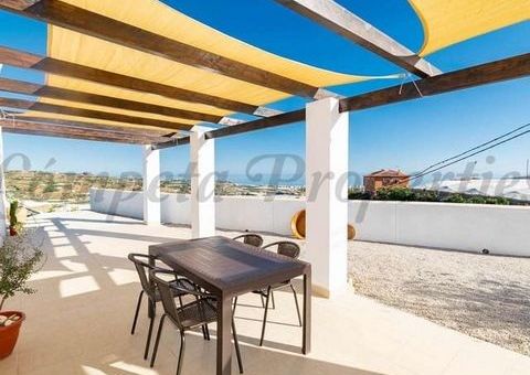 Alicante, Valencian Community 03700