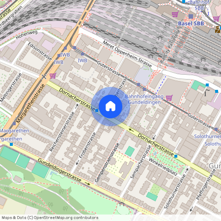 Frobenstrasse 29, 4053 Basel