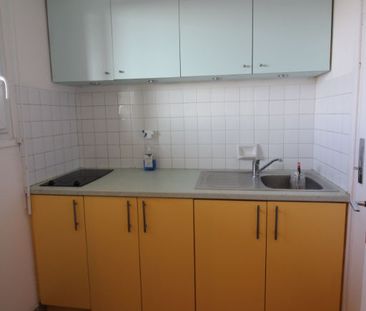 Location Appartement 1 pièce 26m² - Photo 3