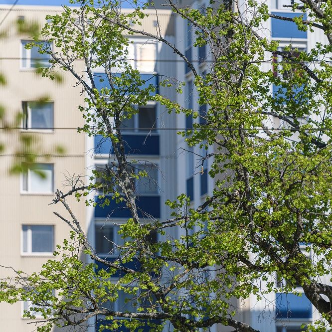 Linköpingsvägen 16, Kneippen - Photo 1