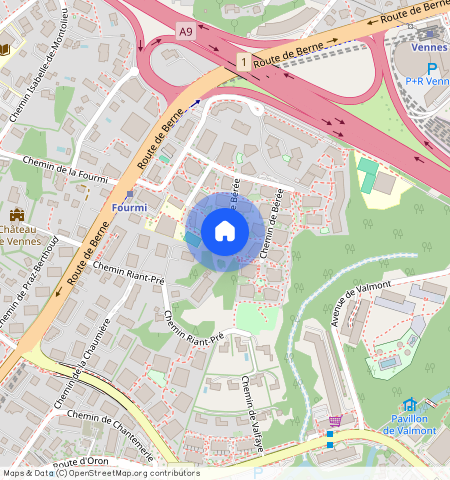 Chemin de Bérée ** A, 1010, Lausanne