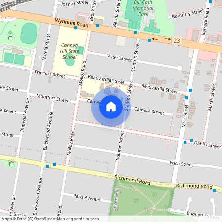 19 Camelia Street, Qld 4170, Cannon Hill