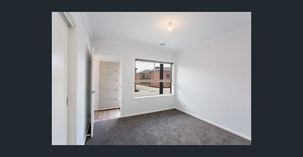 LOW MAINTENANCE UNIT IN SEBASTOPOL - Photo 1