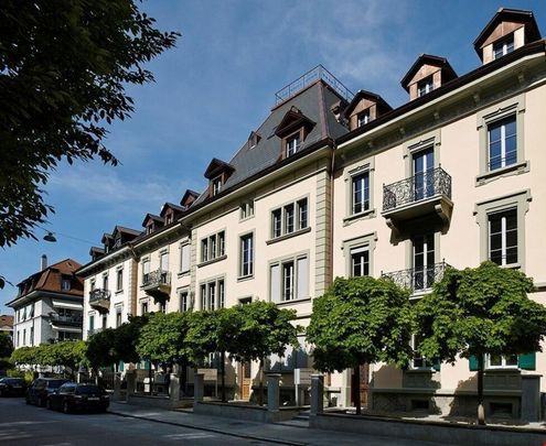 2.5 Zimmer Wohnung - Foto 1