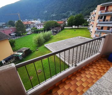 Helles 2.5-Zimmer-Apartment in Bellinzona - Photo 5