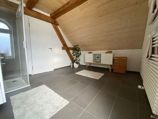 APPARTEMENT 21/2 PIÈCES À ALTDORF (UR), MEUBLÉ, TEMPORAIRE - Photo 1