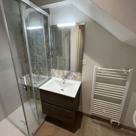 Appartement Studio à louer 1 pièce - 19,36 m2 GRANVILLE - 50 - Photo 4