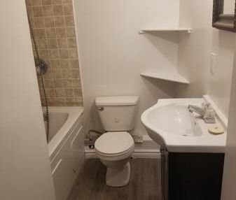 DOWNTOWN, 1-Bedroom Bachelor/ Studio, Furnished! - Photo 4