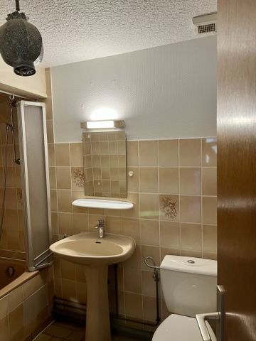 location Appartement 1 pièce à Colmar - REF 6555 - Photo 4