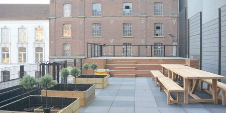 Triplex te huur in Leuven voor € 1.800 met 3 slaapkamers - Photo 4