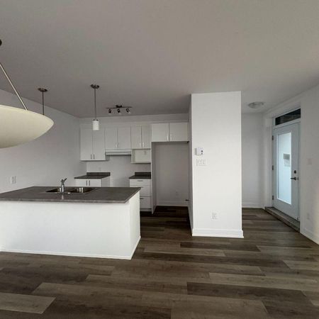 1-Bedroom Basement Apartment | Prime Commuter Location-410, Rue Des Becs-Scie, apt. 2, Gatineau (Masson-Angers), QC - Photo 3