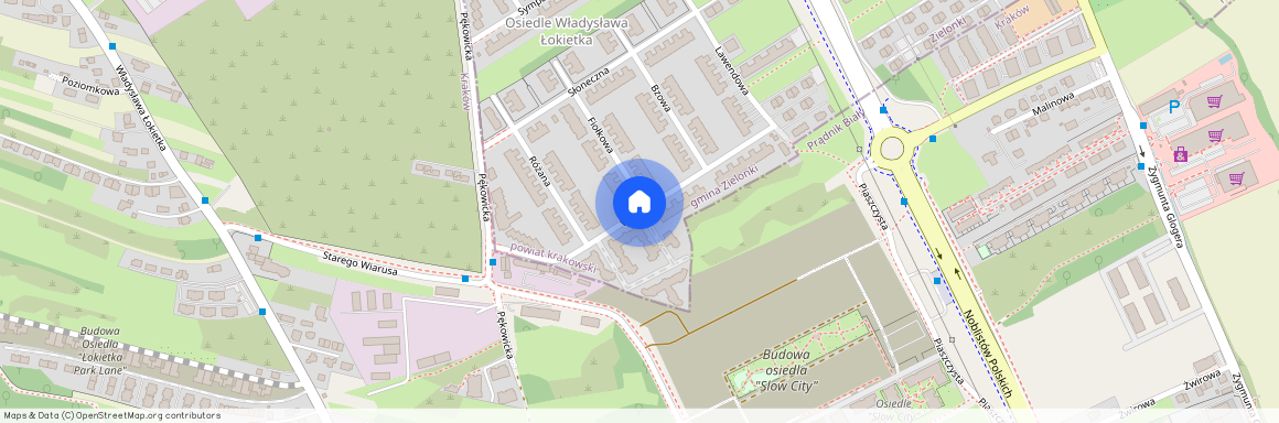 ul. Starego Wiarusa, Zielonki, Zielonki, krakowski, małopolskie, Kraków