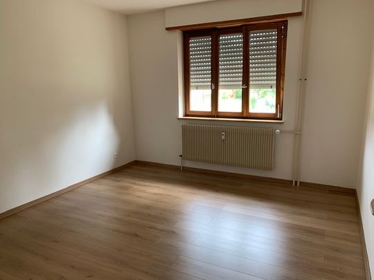 Ribeauvillé - Vignoble - Photo 1