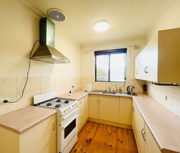 Comfortable Family Living in Convenient Salisbury North Location - Photo 5