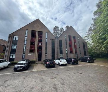 15 The Cedars, Newtownabbey, BT37 0SR - Photo 6