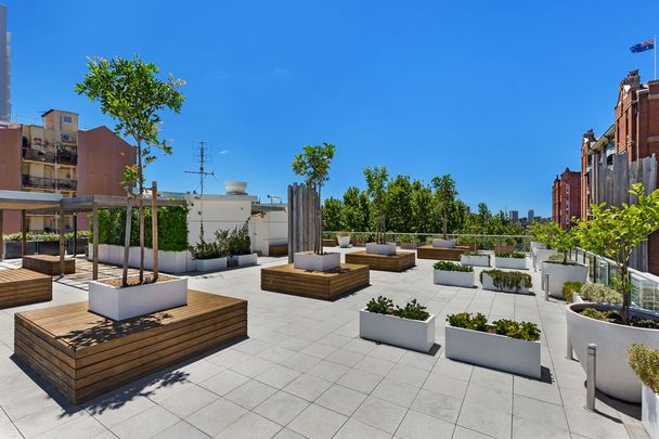 19/91-93 Macleay Street, Potts Point NSW 2011 - Studio For Rent | Domain - Photo 1