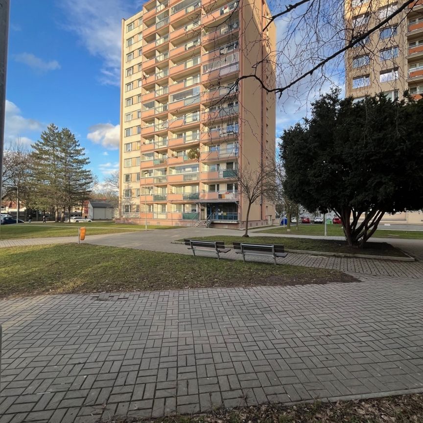 Pronájem bytu 1+1 35 m² - Photo 1
