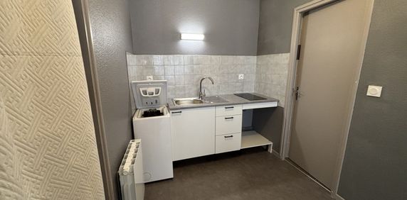 Location Appartement 1 pièce 34m² CONDRIEU 69420 - Photo 2