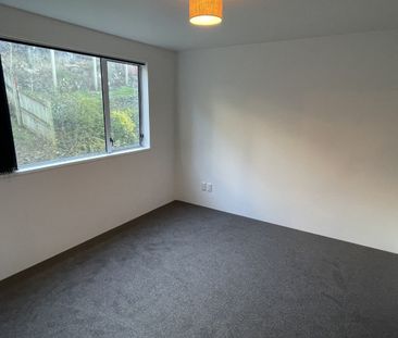 113B York Place, Dunedin Central, Dunedin City - Photo 1