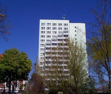 Single-Wohnung an der Elbe, ab März 2026! - Photo 1