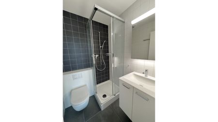 4½ Zimmer-Wohnung in Bern - Breitenrain, möbliert, auf Zeit - Foto 5