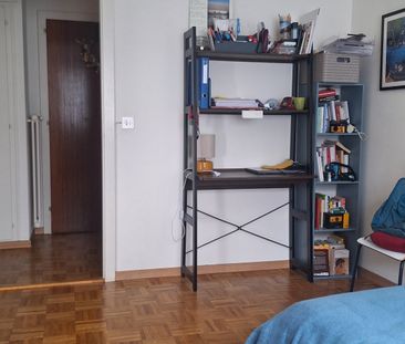 3.5 Zimmer - Photo 1