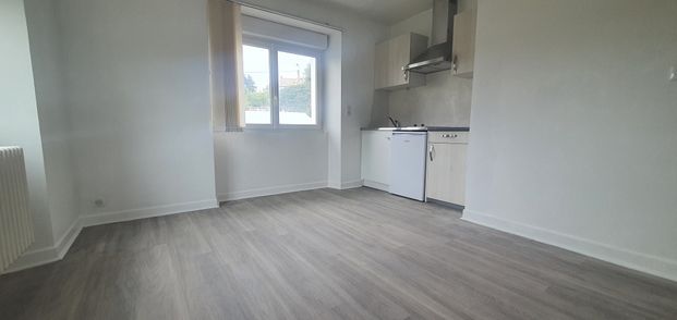 Location Appartement 2 pièces 36m² ST CHELY D APCHER 48200 - Photo 1