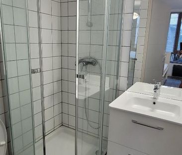 Location Appartement 1 pièce 17m² ST OMER 62500 - Photo 4