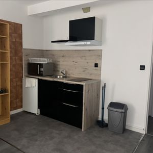 Location Appartement 1 pièce 19m² - Photo 2