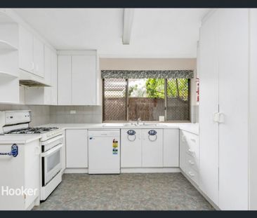 17A Willow Avenue, Manningham SA 5086 - House For Rent | Domain - Photo 2