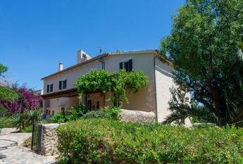 Establiments, Palma De Mallorca