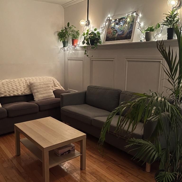 Chambre privées à louer dans une colocation Mile End, Montréal - Photo 1