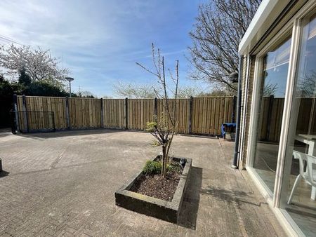 Schoener 12 29 - Photo 4