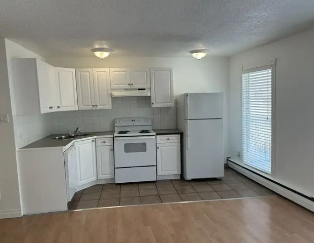 Washer/Dryer included , fully renovated | 1823 26 Avenue Southwest, Calgary - Photo 1