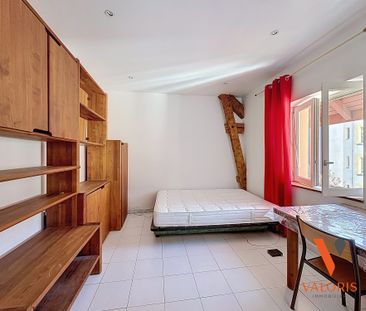 Location Appartement 1 pièce 19m² GRENOBLE 38000 - Photo 4