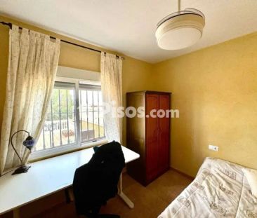 Chalet en alquiler en Jacarilla - Photo 5