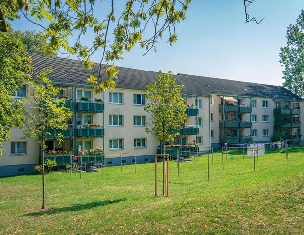 3-Raum-Wohnung - Foto 1