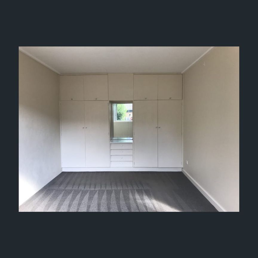 BRAND NEW CARPET l SMALL BLOCK OF 3 l GREAT LOCATION - Photo 1