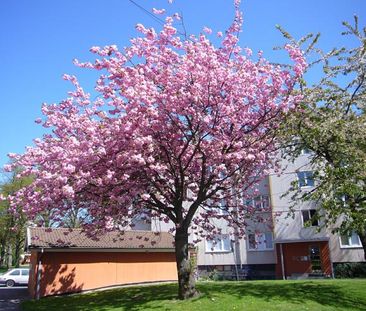 Lantmannagatan 8A - Photo 1