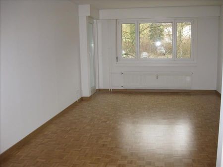 "Greifensee zum Greifen nahe!" - Photo 3