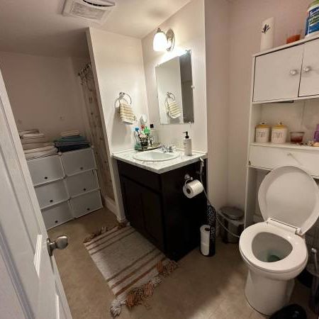 3 Bedroom 1 Bathroom Furnished Basement with separate entrance - rent - Photo 4